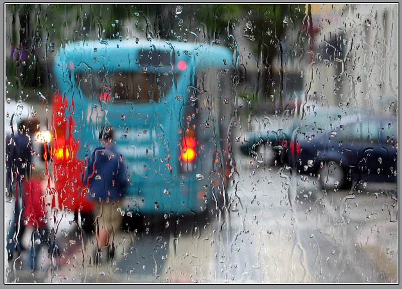 470 - looking the rain - KURONEN Vili - finland.jpg